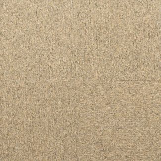 Phenix on Main Virtuous 100% Nylon Glue-Down Carpet Tile (54 Sqft/Box) - FF235