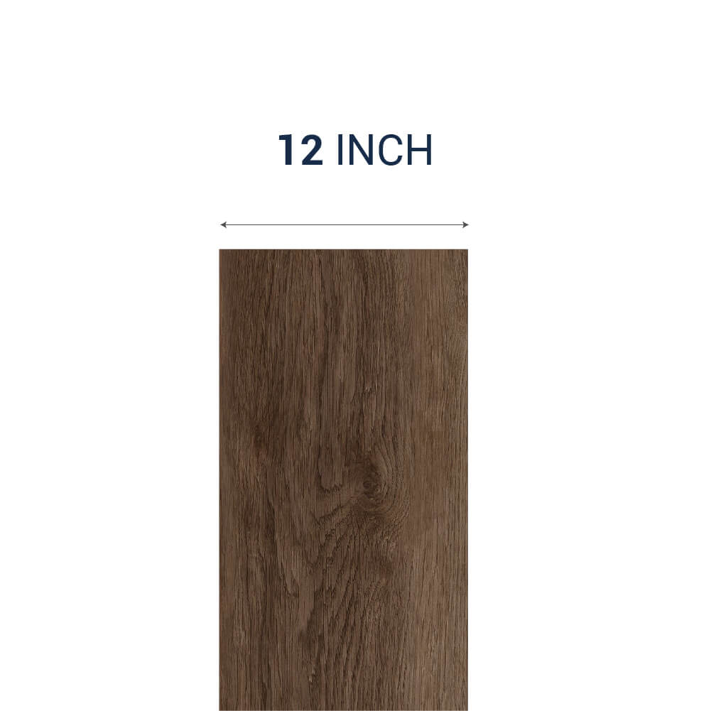 12 Inch