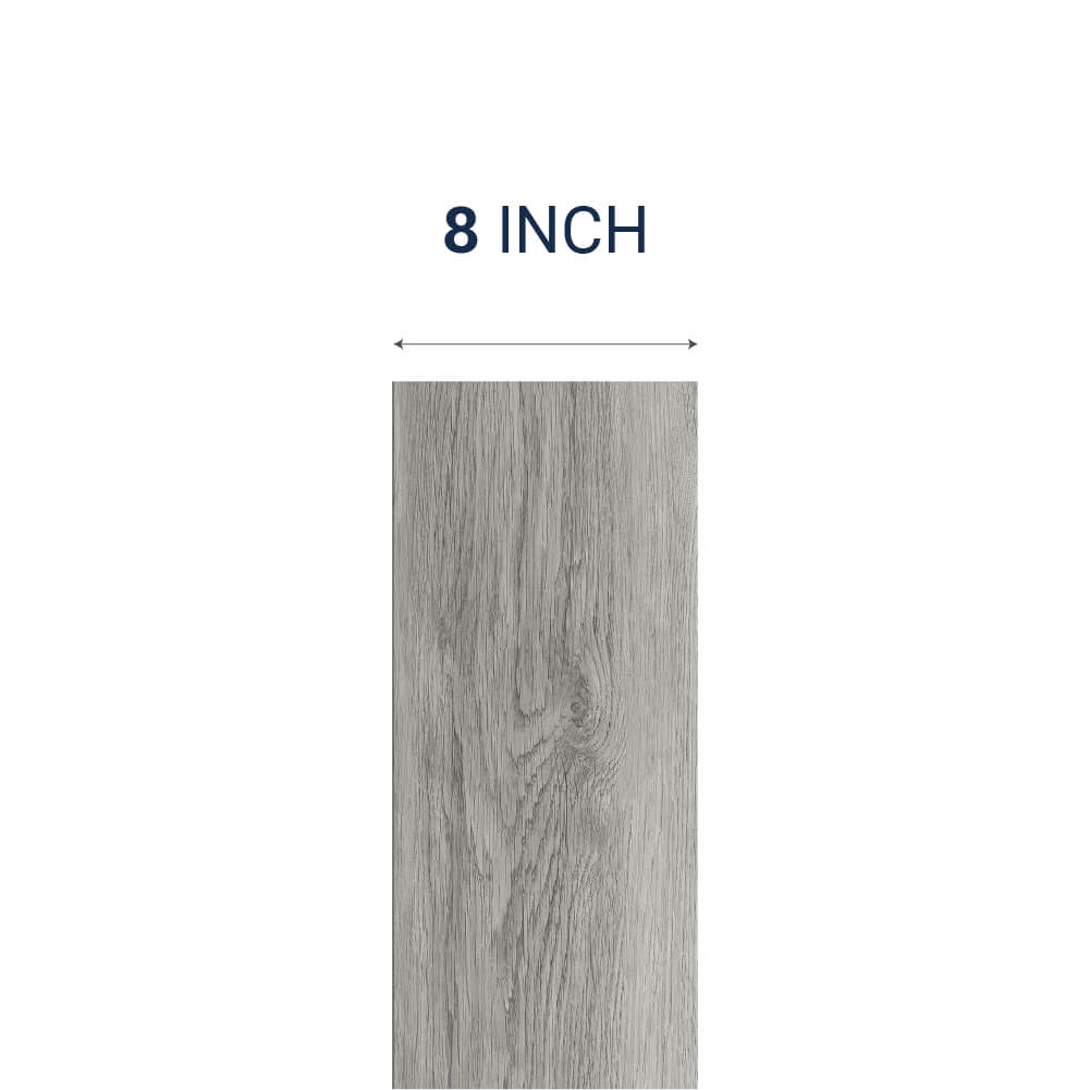 8 Inch