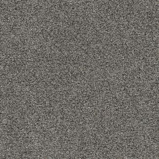 Dreamweaver Gold Standard I Benchmark Carpet Roll - Close Up Swatch Image