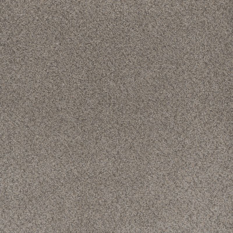 Dreamweaver Beach Club II Canyon Carpet Roll