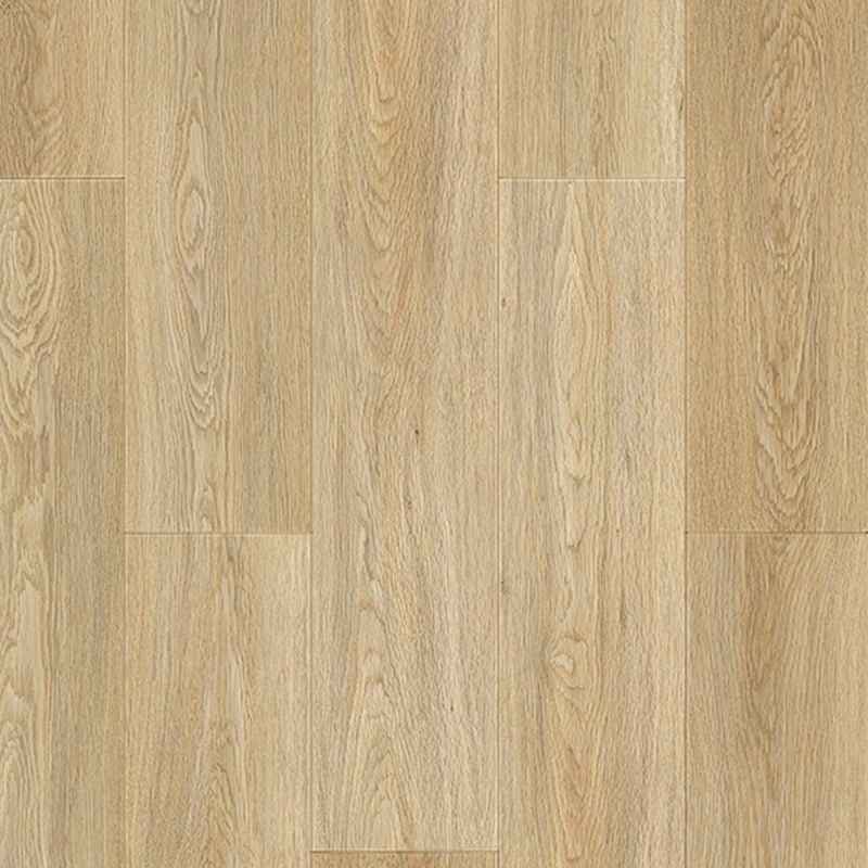 Floor Factory Wellington Montgomery Vinyl Glue-Down Flooring - Close-Up Image Product