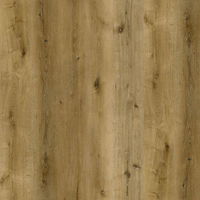 Horizon Sierra Bluff Luxury Vinyl Plank Flooring - Close-Up Product Image