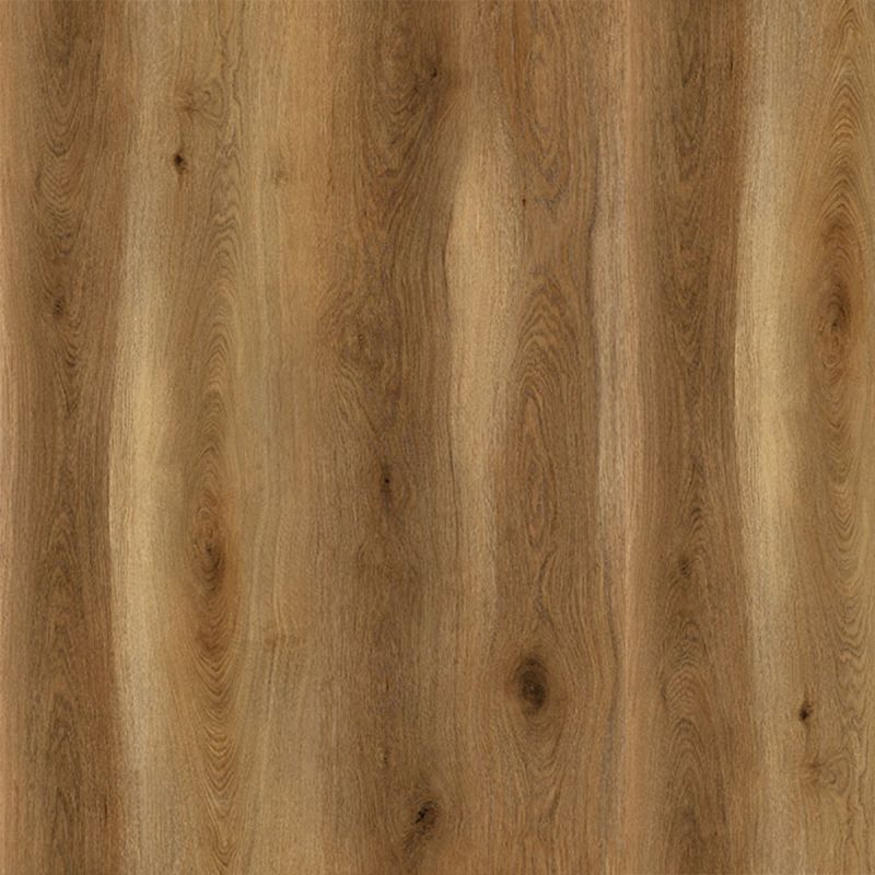 Horizon Ridgefield WPC Luxury Vinyl Plank | Click-Lock 20mil 8mm 9" x 60"