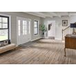 Cyrus Fauna Luxury Vinyl Plank Flooring - Living Room 2