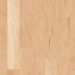 Floor Factory Parkwood Arroyo Luxury Vinyl Plank WPC Flooring - Close-Up Product Image