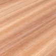 Floor Factory Prime Honey Oak Luxury Vinyl Plank WPC Flooring - Close-Up Product Image