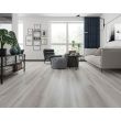 Horizon Harbor Drift Luxury Vinyl Plank Flooring - See in Living Room