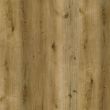 Horizon Sierra Bluff Luxury Vinyl Plank Flooring - Close-Up Product Image