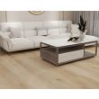 Horizon Golden Summit Luxury Vinyl Plank Flooring - See in Living Room