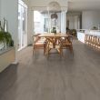 Shaw Resilient Allegience+ Saguaro Luxury Vinyl Plank WPC Flooring - See in Dining Room