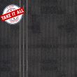 EF Contract Pennant Raven Carpet Tile - 18 in x 36 in, Encore SD Ultima Nylon, Nexus Backing, Glue Down - Take All