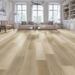Titan Simplicity Oasis Luxury Vinyl Plank Flooring - Living Room Image