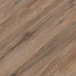 Cyrus Fauna Luxury Vinyl Plank Flooring - Close-Up Product Image