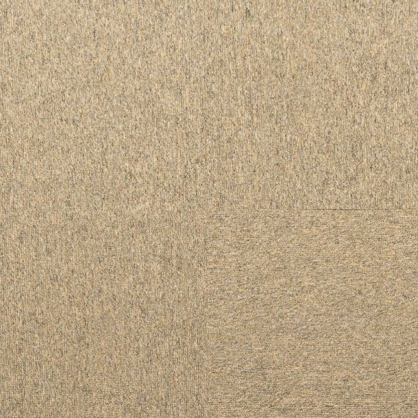 Phenix on Main Virtuous 100% Nylon Glue-Down Carpet Tile (54 Sqft/Box) - FF235