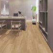 Floor Factory Southgate Boardwalk Luxury Vinyl Tile WPC Flooring - See in Office