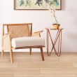 Floor Factory Wellington Montgomery Vinyl Glue-Down Flooring - See in Living Room