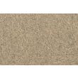 Phenix on Main Virtuous 100% Nylon Glue-Down Carpet Tile (54 Sqft/Box) - FF235